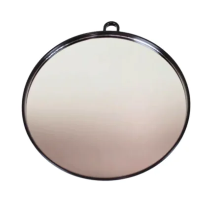 Point Profesyonel Oval El Aynası